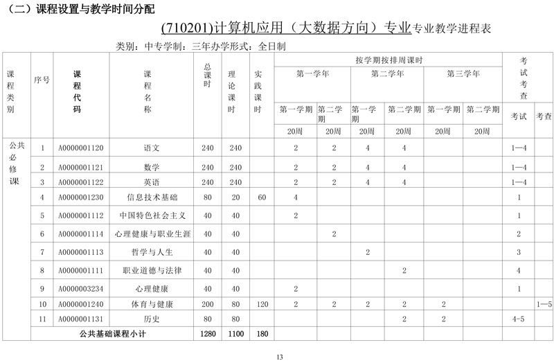 计算机专业（大数据方向）专业人才培养方案